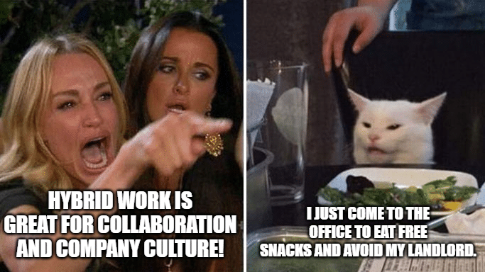 hybrid working meme